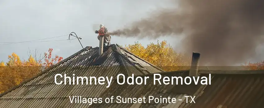 Chimney Odor Removal Villages of Sunset Pointe - TX