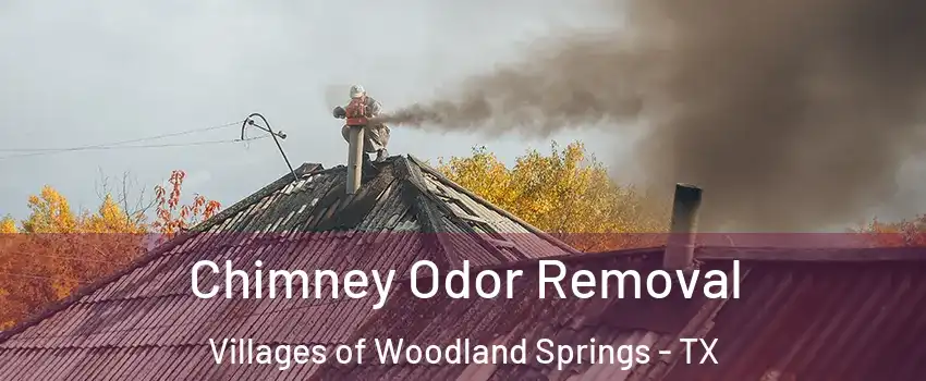 Chimney Odor Removal Villages of Woodland Springs - TX