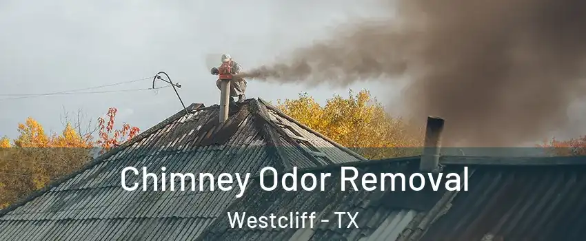 Chimney Odor Removal Westcliff - TX