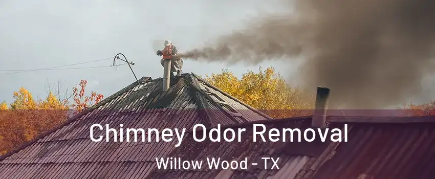 Chimney Odor Removal Willow Wood - TX