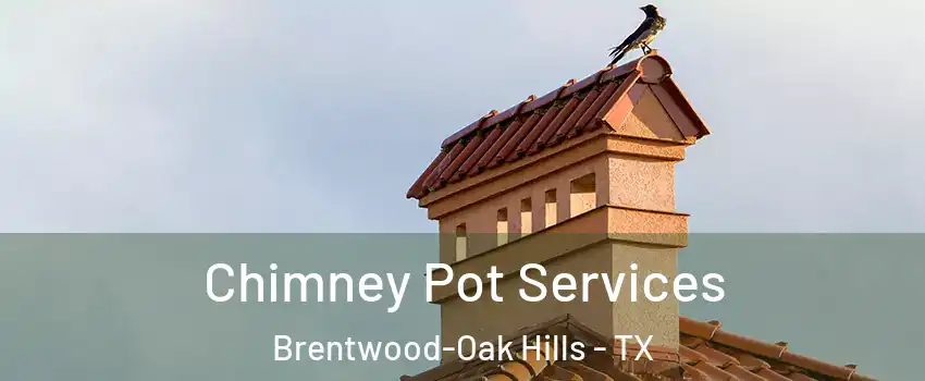 Chimney Pot Services Brentwood-Oak Hills - TX