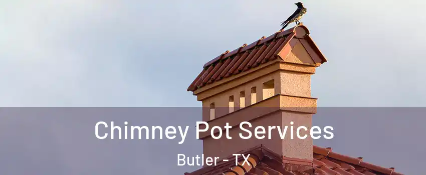 Chimney Pot Services Butler - TX