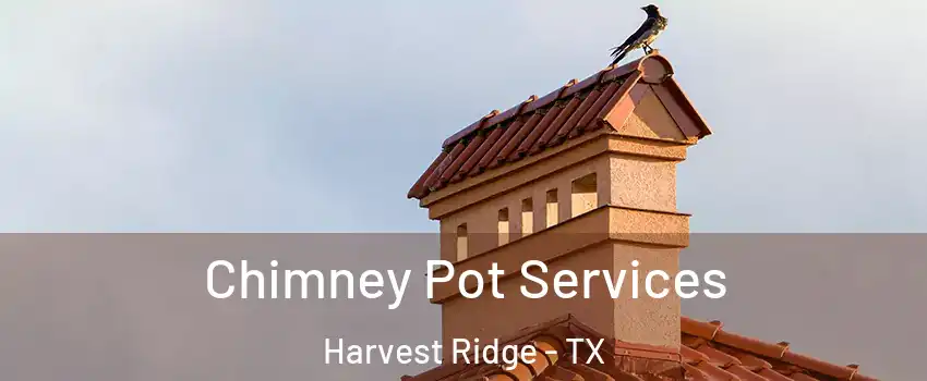 Chimney Pot Services Harvest Ridge - TX