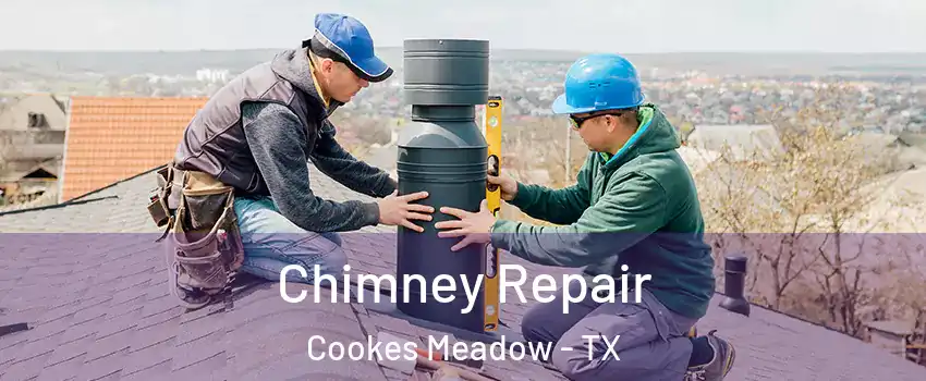 Chimney Repair Cookes Meadow - TX