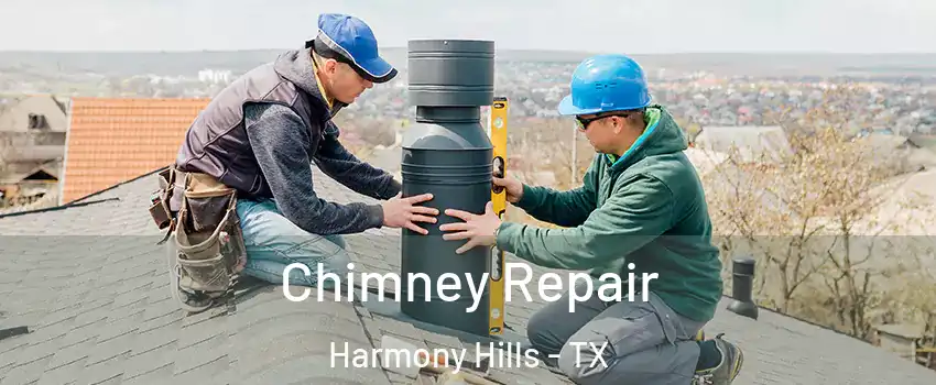 Chimney Repair Harmony Hills - TX