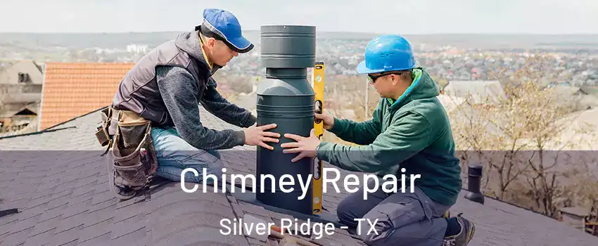 Chimney Repair Silver Ridge - TX