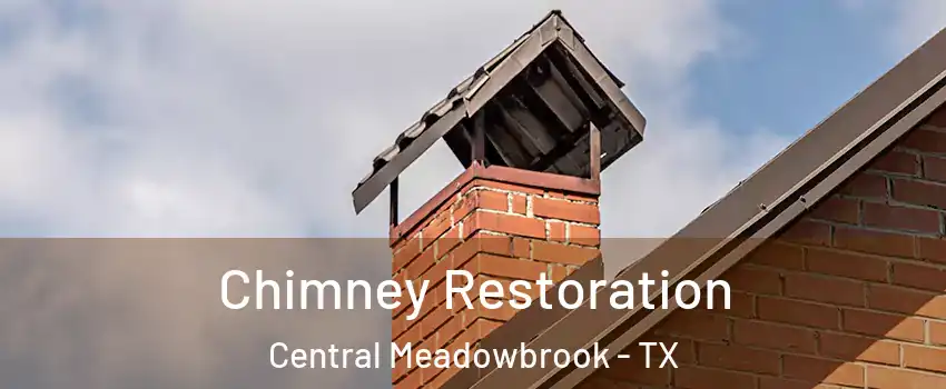 Chimney Restoration Central Meadowbrook - TX