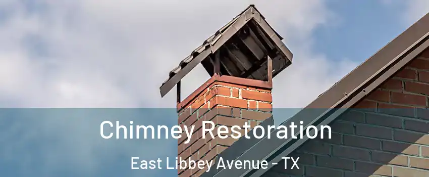 Chimney Restoration East Libbey Avenue - TX
