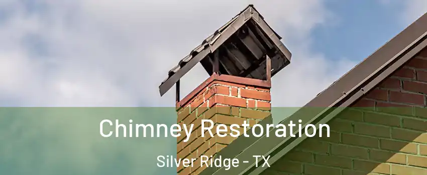 Chimney Restoration Silver Ridge - TX