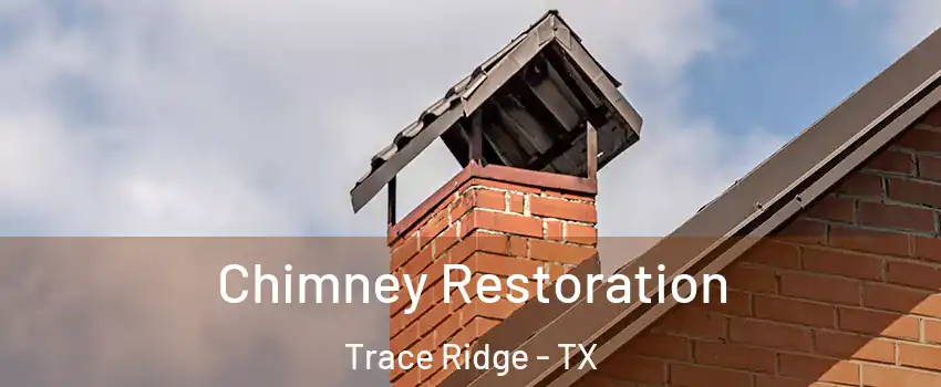 Chimney Restoration Trace Ridge - TX