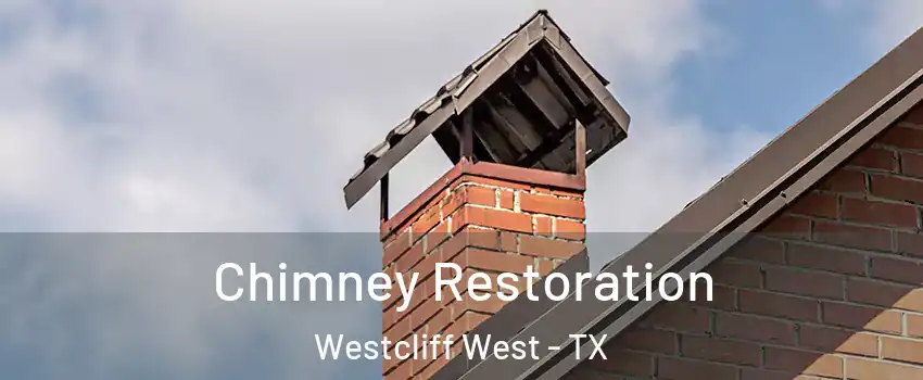 Chimney Restoration Westcliff West - TX