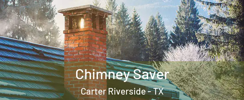 Chimney Saver Carter Riverside - TX