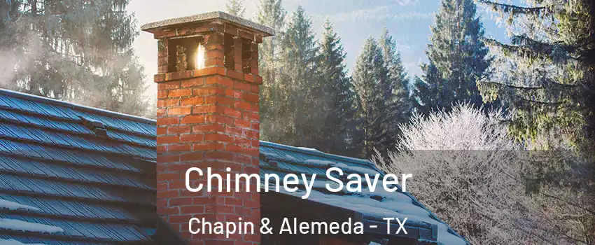 Chimney Saver Chapin & Alemeda - TX