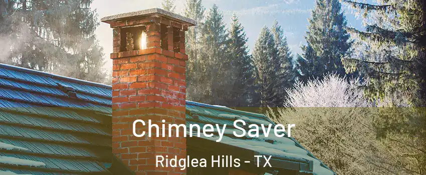 Chimney Saver Ridglea Hills - TX