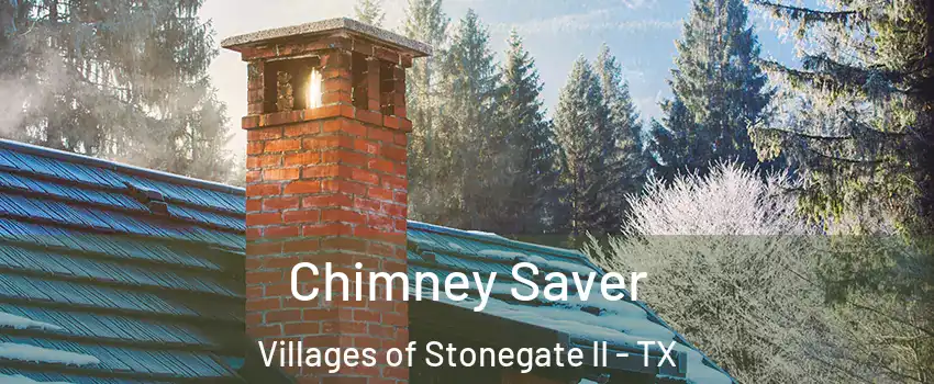 Chimney Saver Villages of Stonegate II - TX