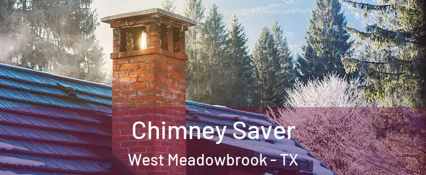 Chimney Saver West Meadowbrook - TX