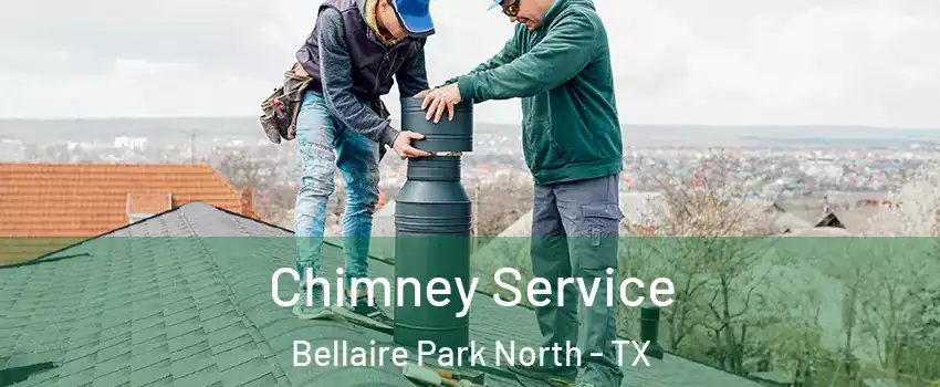 Chimney Service Bellaire Park North - TX