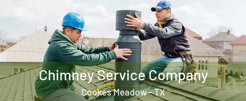 Chimney Service Company Cookes Meadow - TX