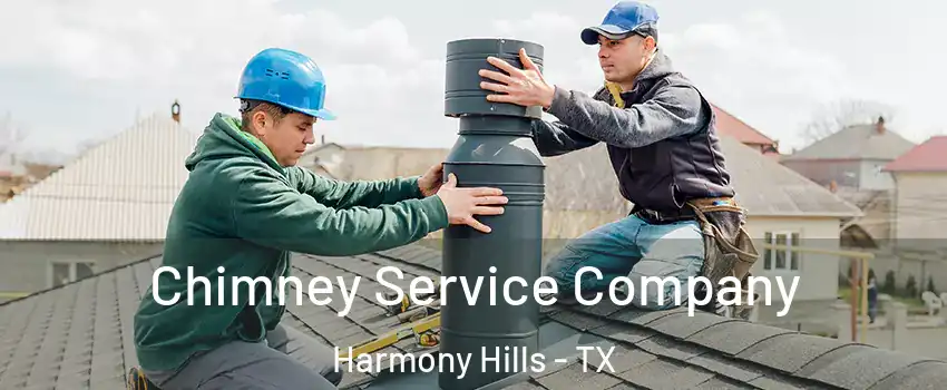 Chimney Service Company Harmony Hills - TX