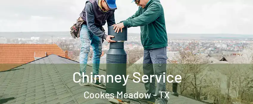 Chimney Service Cookes Meadow - TX
