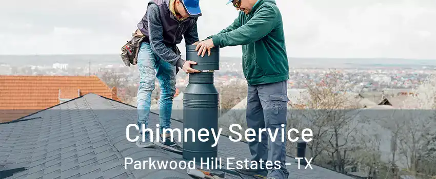 Chimney Service Parkwood Hill Estates - TX
