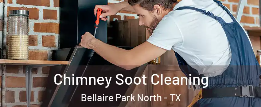Chimney Soot Cleaning Bellaire Park North - TX