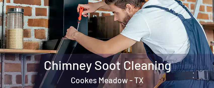 Chimney Soot Cleaning Cookes Meadow - TX