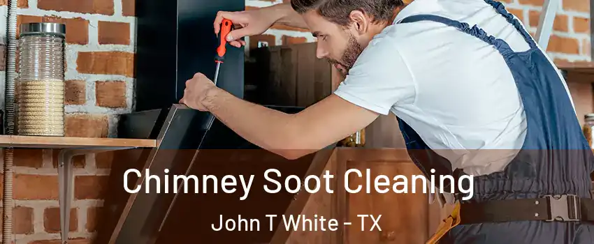 Chimney Soot Cleaning John T White - TX