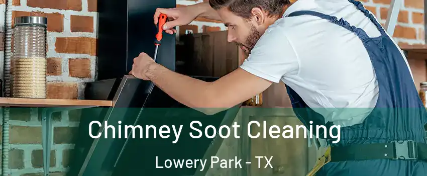 Chimney Soot Cleaning Lowery Park - TX