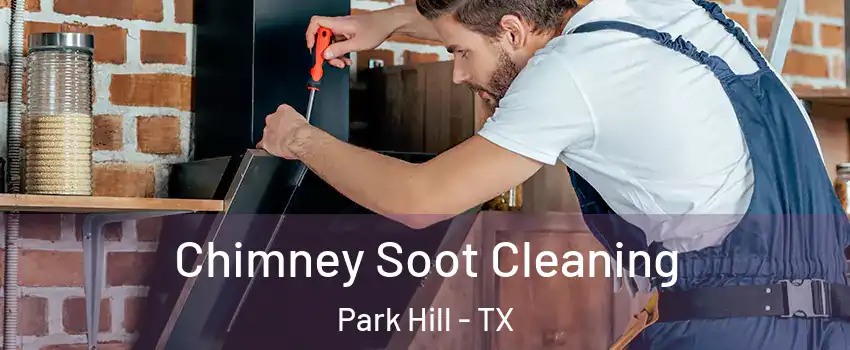 Chimney Soot Cleaning Park Hill - TX