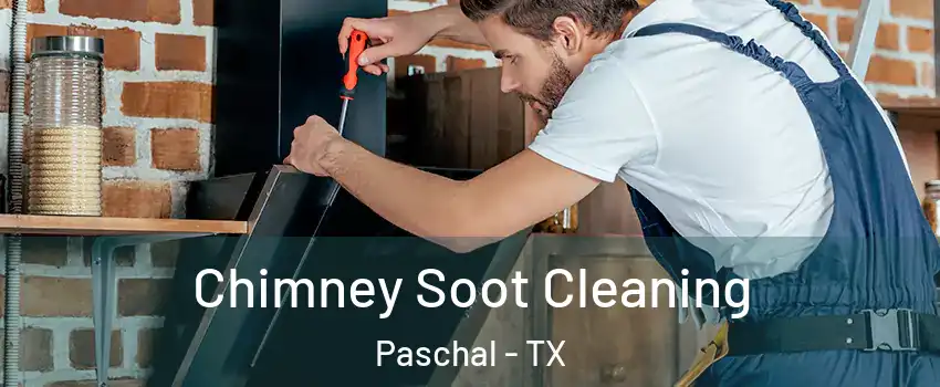 Chimney Soot Cleaning Paschal - TX