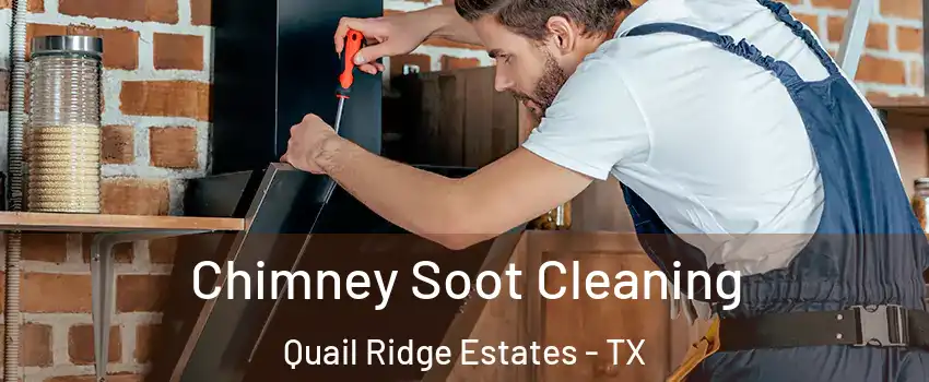 Chimney Soot Cleaning Quail Ridge Estates - TX
