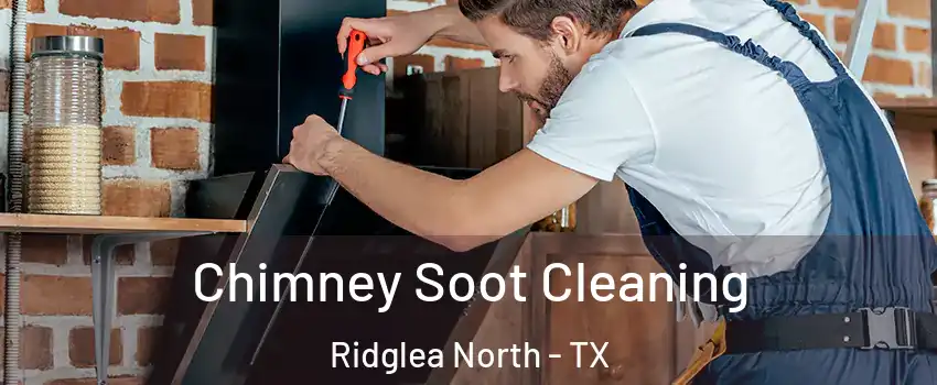 Chimney Soot Cleaning Ridglea North - TX