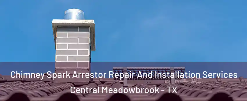 Chimney Spark Arrestor Repair And Installation Services Central Meadowbrook - TX