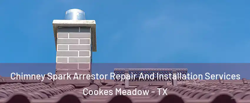 Chimney Spark Arrestor Repair And Installation Services Cookes Meadow - TX