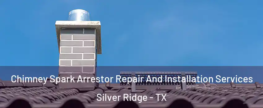 Chimney Spark Arrestor Repair And Installation Services Silver Ridge - TX