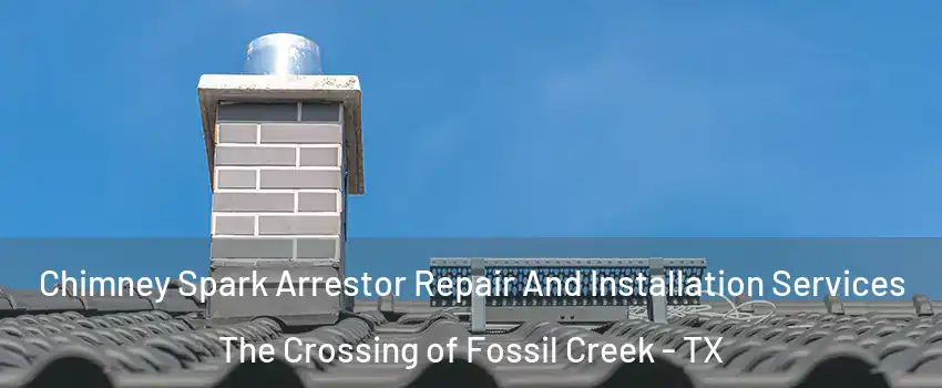 Chimney Spark Arrestor Repair And Installation Services The Crossing of Fossil Creek - TX