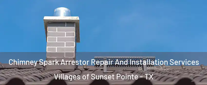 Chimney Spark Arrestor Repair And Installation Services Villages of Sunset Pointe - TX