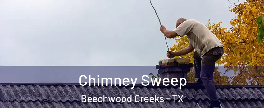 Chimney Sweep Beechwood Creeks - TX