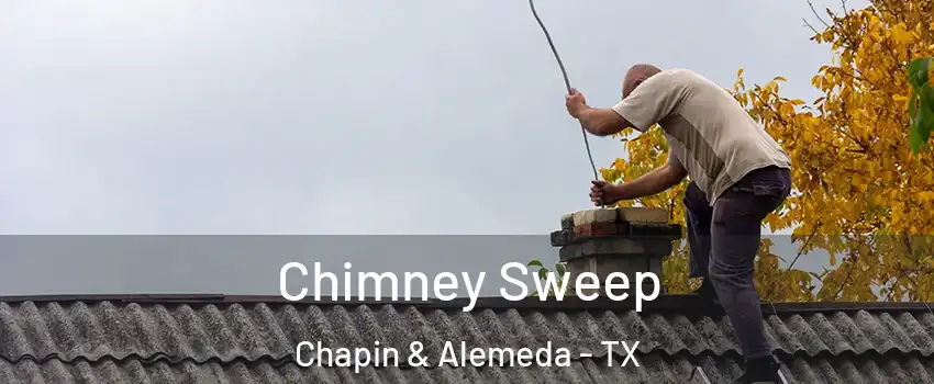 Chimney Sweep Chapin & Alemeda - TX