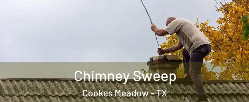Chimney Sweep Cookes Meadow - TX