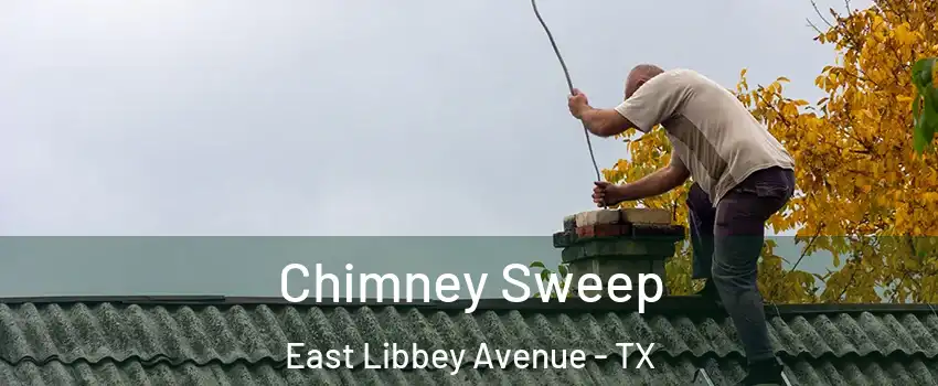 Chimney Sweep East Libbey Avenue - TX