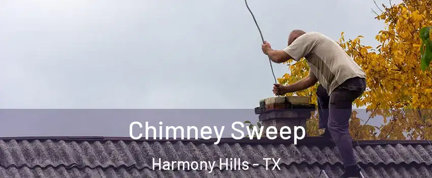 Chimney Sweep Harmony Hills - TX