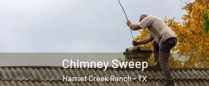 Chimney Sweep Harriet Creek Ranch - TX