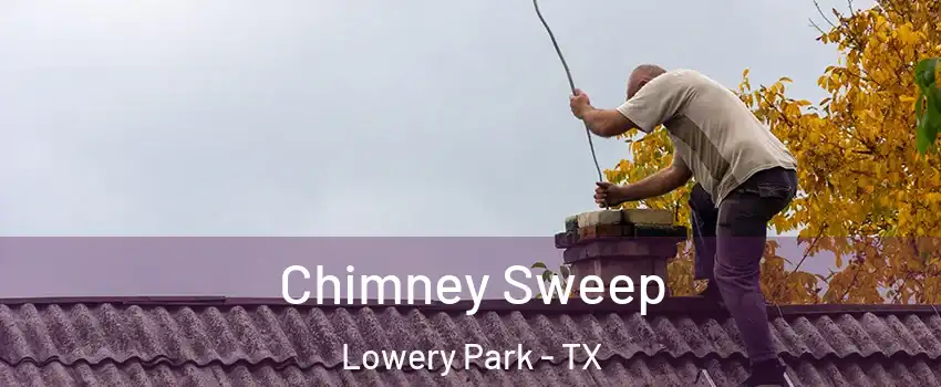 Chimney Sweep Lowery Park - TX