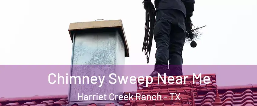 Chimney Sweep Near Me Harriet Creek Ranch - TX