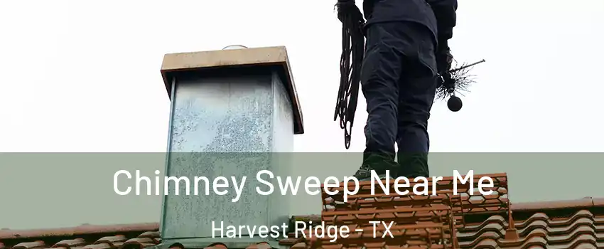 Chimney Sweep Near Me Harvest Ridge - TX