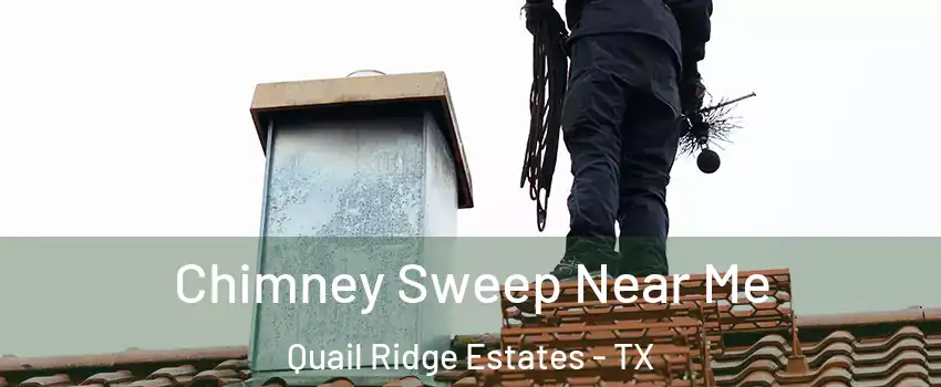Chimney Sweep Near Me Quail Ridge Estates - TX