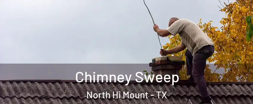 Chimney Sweep North Hi Mount - TX