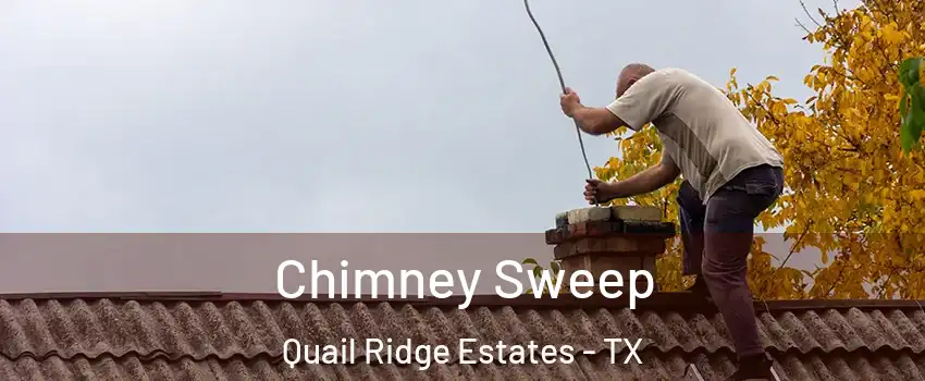 Chimney Sweep Quail Ridge Estates - TX